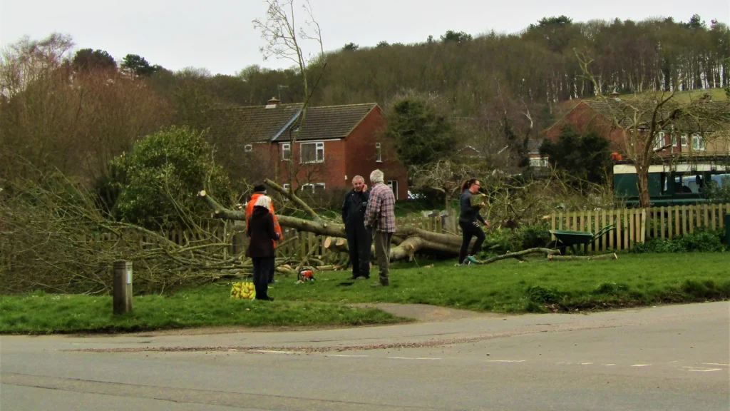 Arbre tombé au bord d’une route à Overstrand après la tempête Eunice